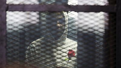 Egypte : une figure de la révolte de 2011, de nouveau en prison