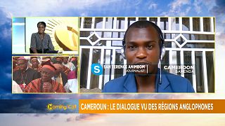 Cameroon's ongoing national dialogue to end by Friday [Morning Call]