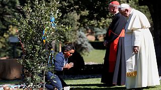 Pics of the day, October 4, 2019