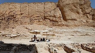 Egypt discovers valley of the monkeys; an ancient industrial zone