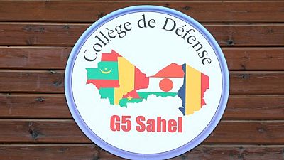 Sahel : reprise des opérations militaires du G5 Sahel, saisie d'armes au Niger