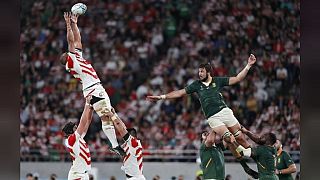 Mondial de rugby : les Springboks en demis