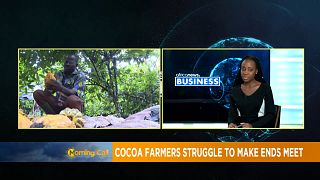 La pauvreté menace les cultivateurs de cacao