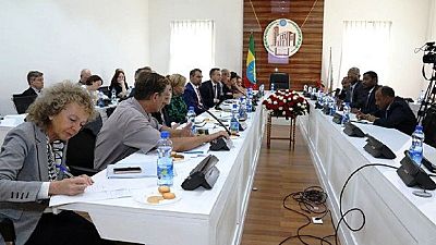 Élections 2020 en Éthiopie : le Parlement rassure l'UE