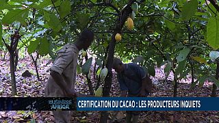 African producers worry over new cocoa certification[Business Africa]