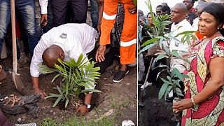 RDC : Martin Fayulu appelle les citoyens à planter des arbres pour lutter contre les incendies de forêt