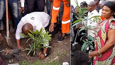 Fayulu launches tree-planting drive to combat DR Congo's forest fires