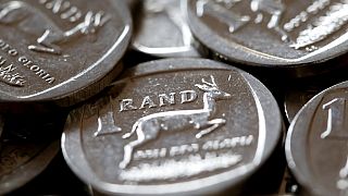 South African farmers turn to China to expand market