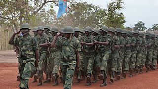 RDC : un nouveau chef des rebelles hutus rwandais tué (source militaire)