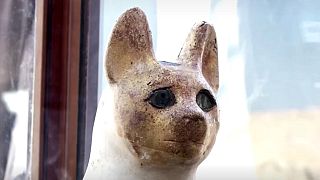 Egypt unveils cache of mummified animals
