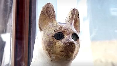 Egypt unveils cache of mummified animals