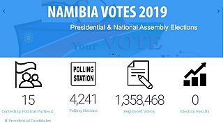 Namibia's presidential, national assembly polls: All you need to know