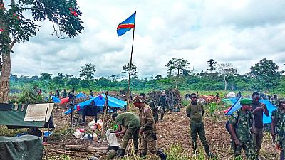 RDC : 80 éléments présumés des ADF éliminés (armée)
