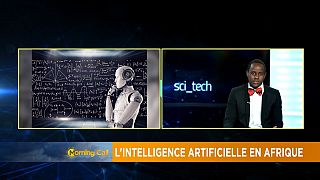 African countries cautiously embrace Artificial Intelligence [SciTech]