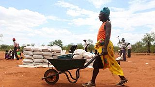 U.N. plans food assistance for 4.1m 'stranded' Zimbabweans