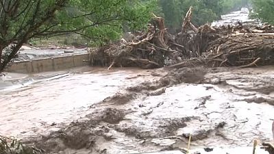 Floods, landslide in Uganda claims 26 lives - Red Cross