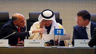 OPEC countries, Russia to cut oil output