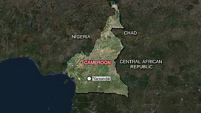 Cameroon's Far North recorded 275 deaths by Boko Haram: Amnesty