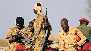 Soudan du Sud : 40 millions de dollars dégagés pour l'intégration des rebelles à l'armée
