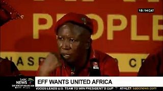 'United States of Africa' must happen - South Africa's Malema reiterates