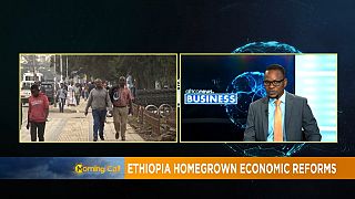 Ethiopia Homegrown Economic Reforms