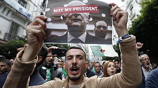 'We want total systemic change': Algeria protesters reject president-elect