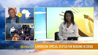 Cameroon grants special status for English-speaking regions [Morning Call]