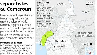 Cameroon separatists dismiss 'Anglophone special status', insist on independence