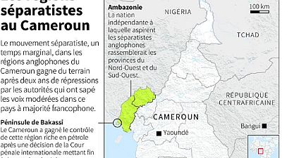 Cameroon separatists dismiss 'Anglophone special status', insist on independence