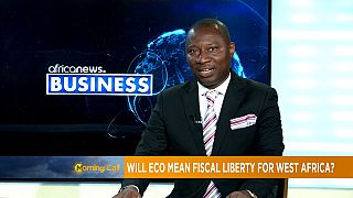 CFA reforms: Will the Eco mean fiscal liberty for West African countries? [Business]
