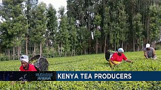 Kenya : diversification de la production de thé [Business Africa]