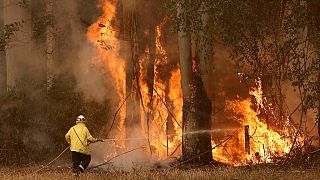 Australia: 17 missing after wildfires