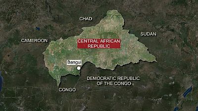 Russia's forays will not stabilize Central African Republic - France