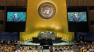 Zimbabwe votes against U.N. resolution on Rohingya persecution