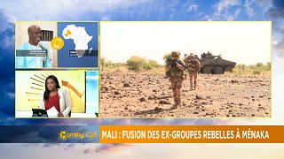 Mali : fusion des ex-groupes rebelles à Ménaka [The Morning Call]