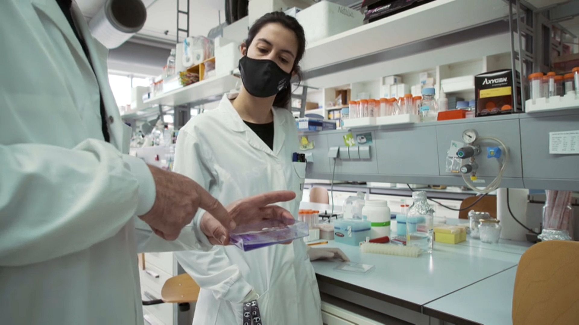 European software helps fight the pandemic by speeding up drug production