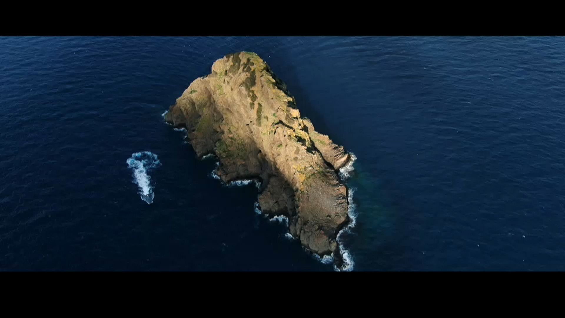 Protecting the sea gives glimmer of hope to fish stocks in the Adriatic