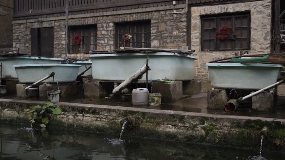 European producers are making pollution-free aquaculture a successful business