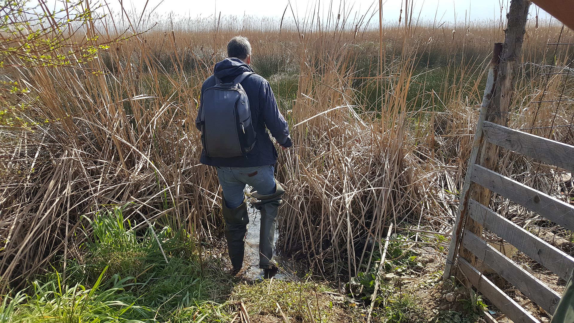 Plans to build an airport in Albania threatens migrating bird flyways