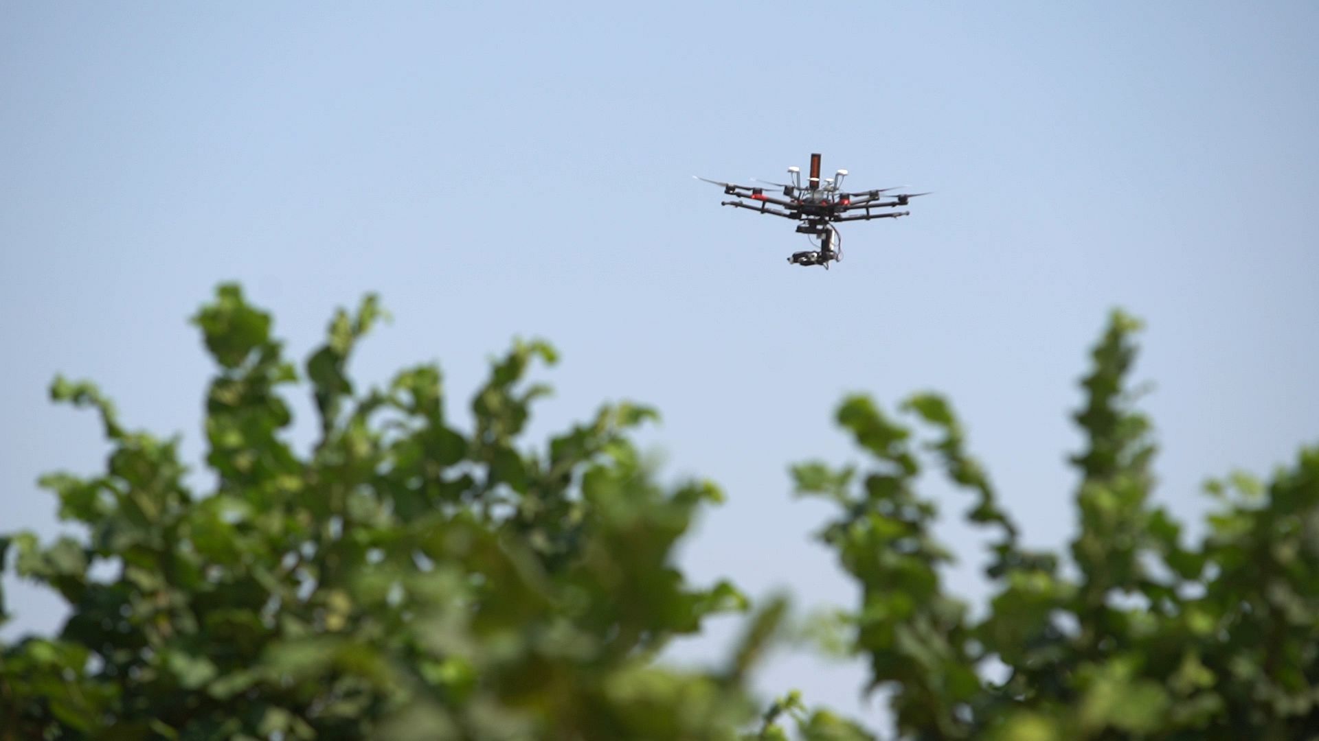 Robots, drones and the future of farming Euronews