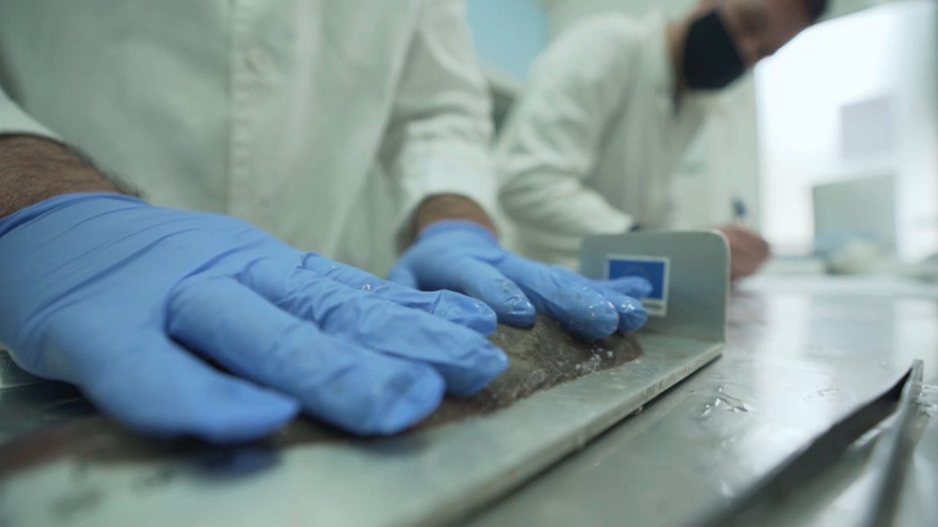 Protecting the sea gives glimmer of hope to fish stocks in the Adriatic