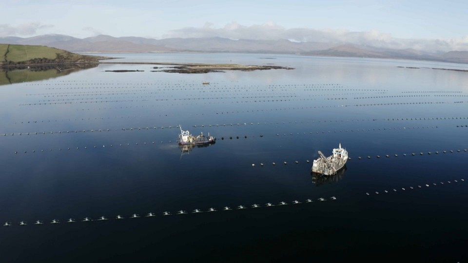 European producers are making pollution-free aquaculture a successful business