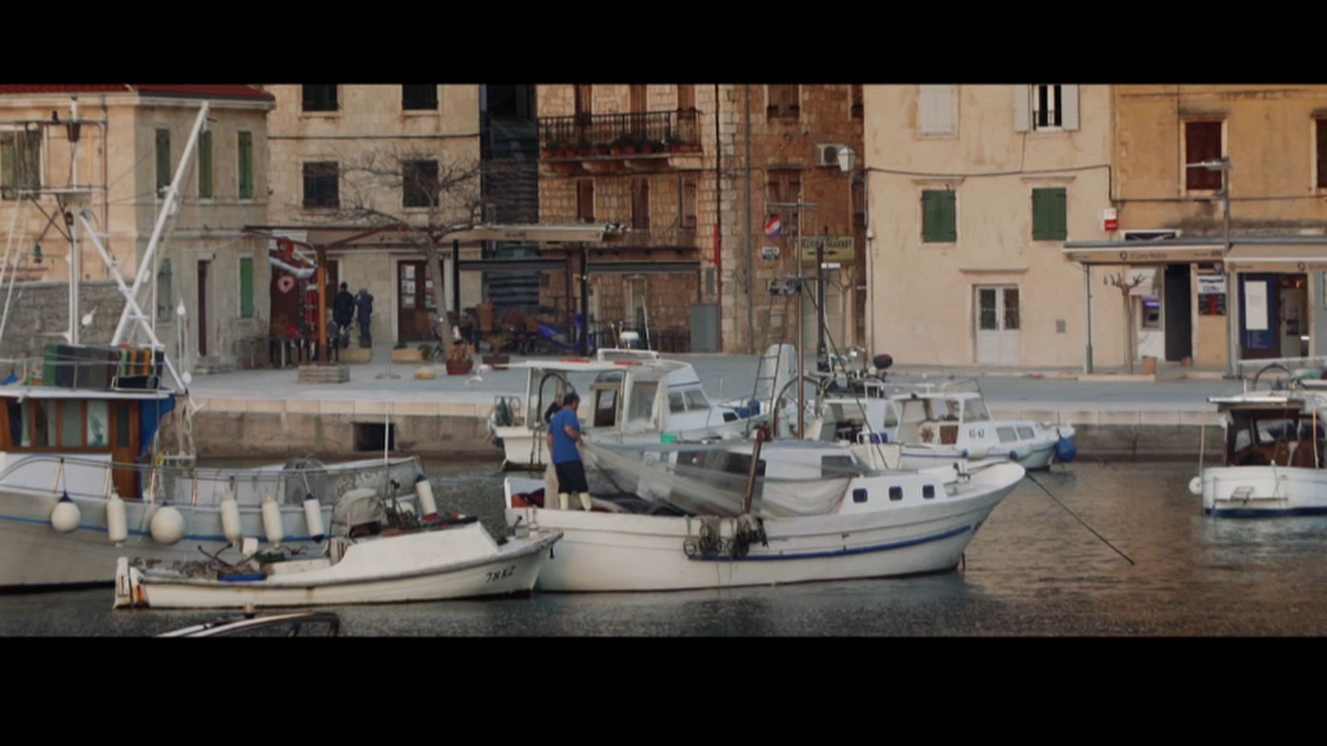 Protecting the sea gives glimmer of hope to fish stocks in the Adriatic