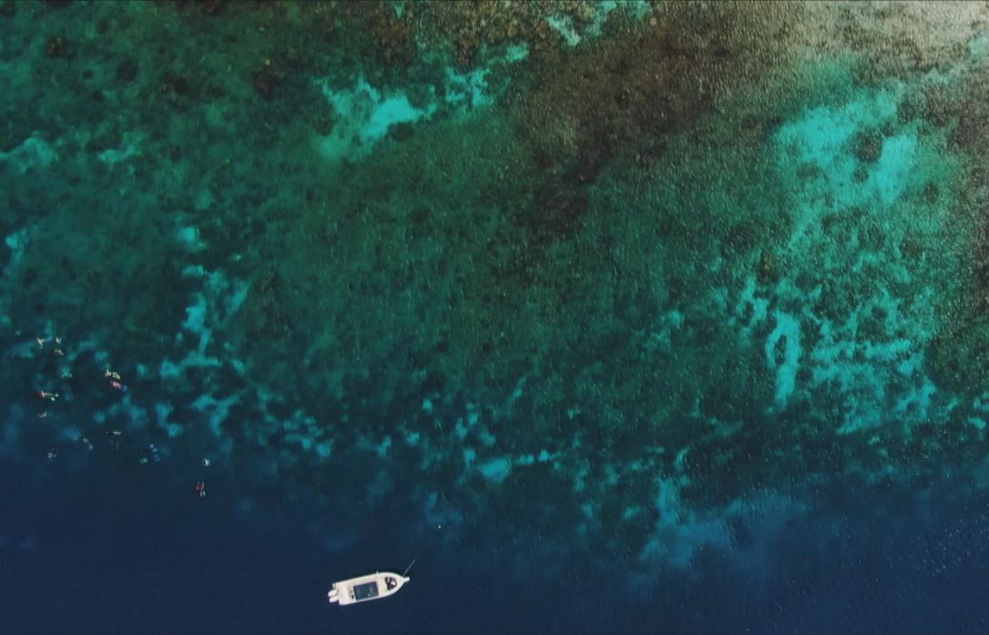 Ocean - Coral reefs