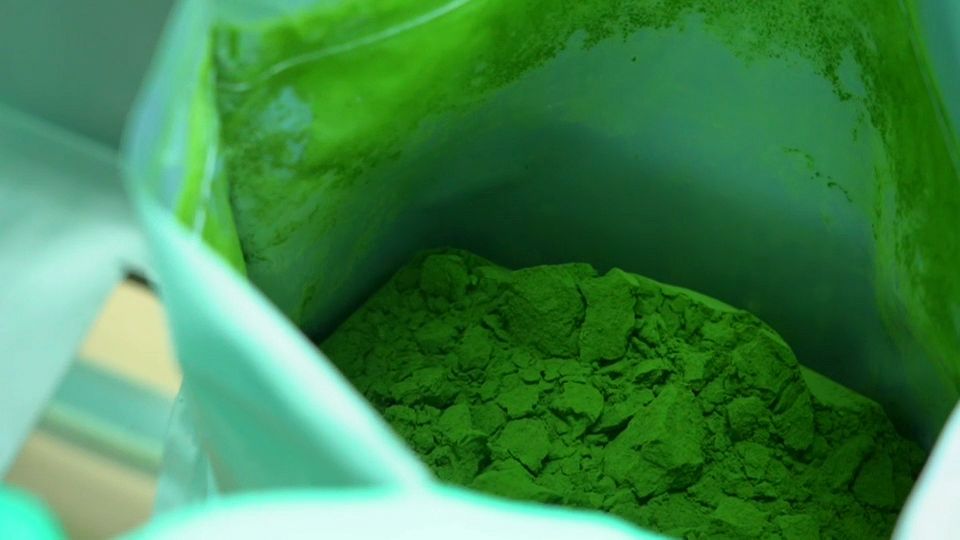 Is microalgae the sustainable food of the future?