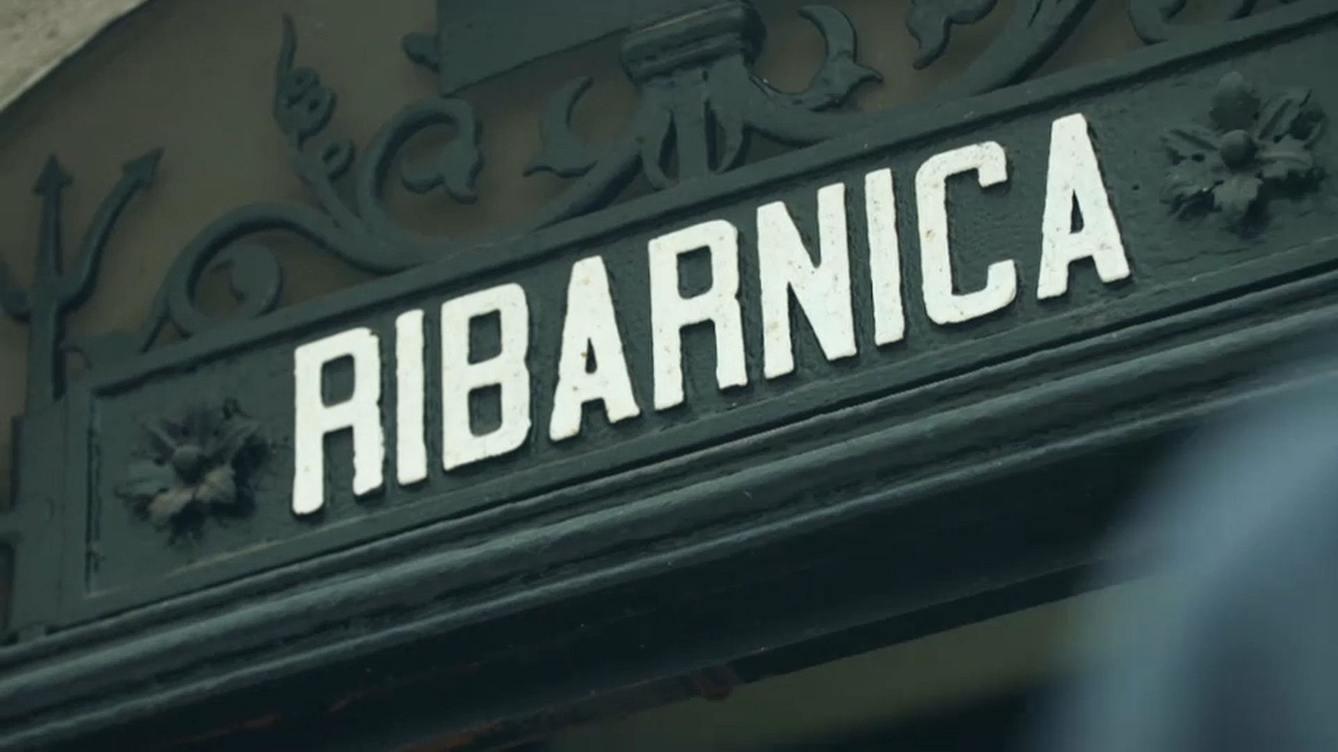 Protecting the sea gives glimmer of hope to fish stocks in the Adriatic