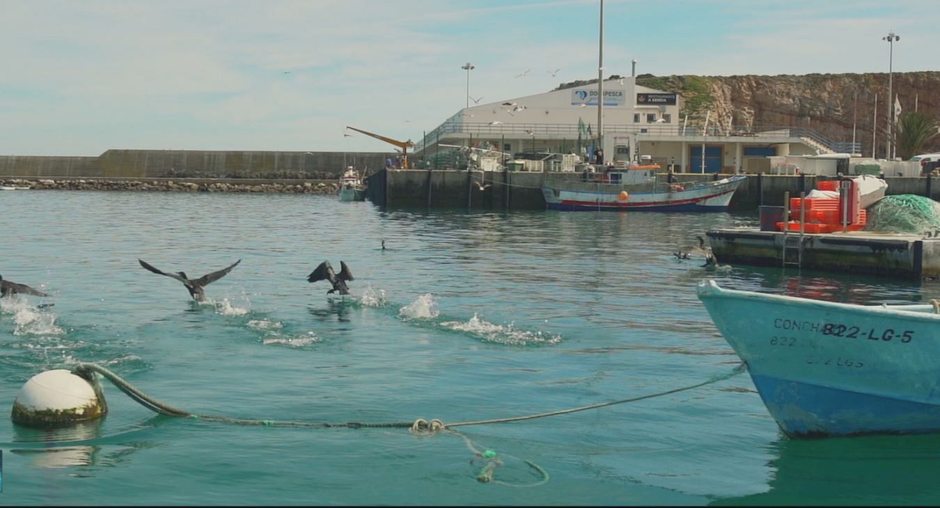The ocean, a source of treatment for some of the world's worst diseases