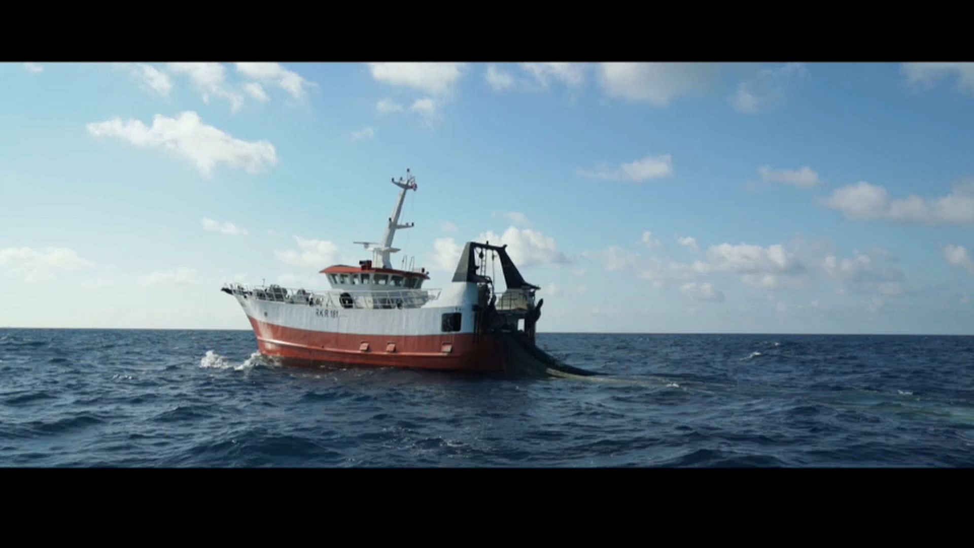 Protecting the sea gives glimmer of hope to fish stocks in the Adriatic