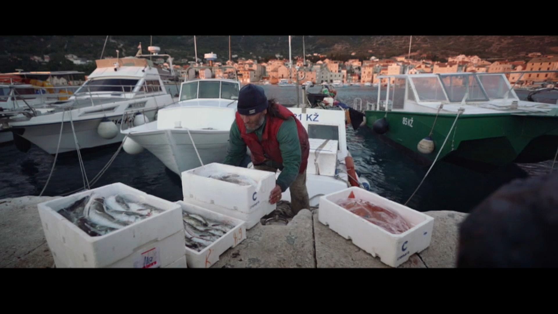 Protecting the sea gives glimmer of hope to fish stocks in the Adriatic