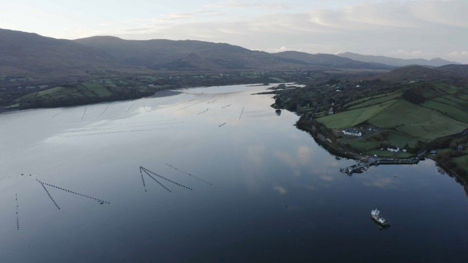 European producers are making pollution-free aquaculture a successful business